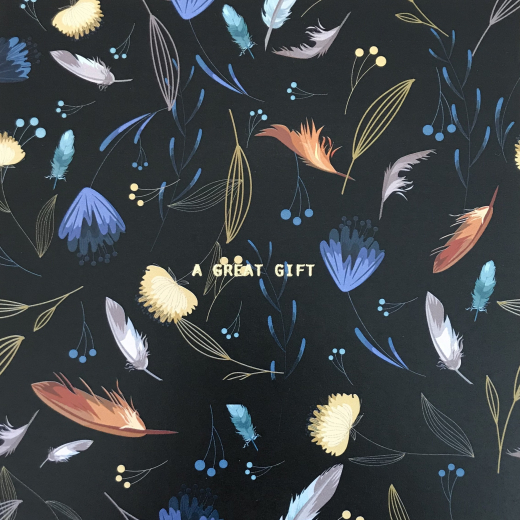 cadeaubon met veren in verschillende kleuren met "a great gift" centraal op